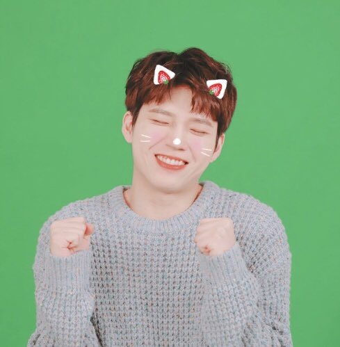 나무현 이미지