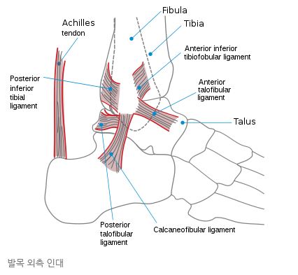 다온한의원 이미지