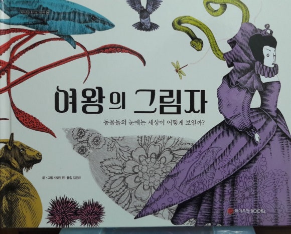 와이즈만서적 이미지
