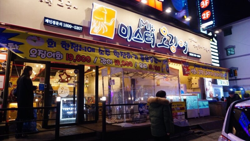 미스터오징어 이미지