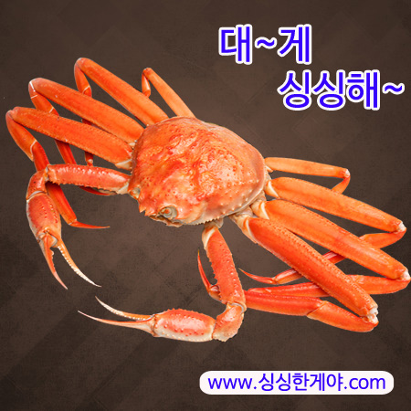 싱싱한게야 이미지