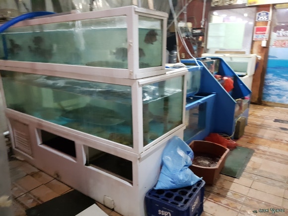 바다회119 이미지