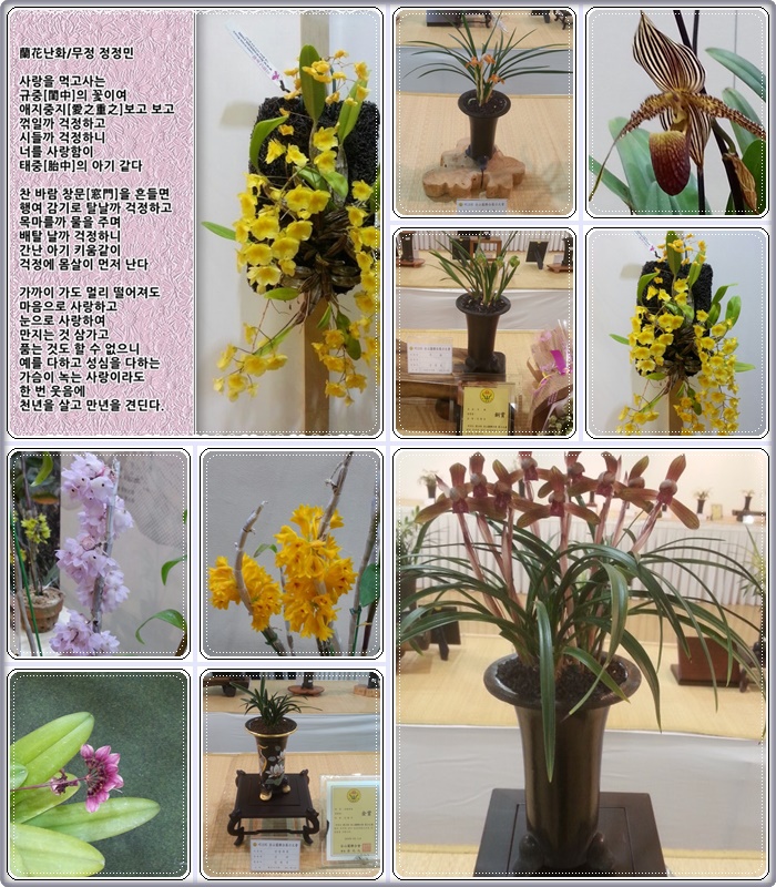 꽃난화 이미지