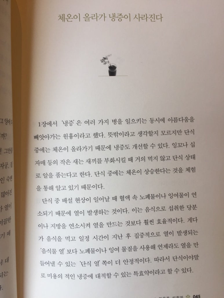 하루홍차 이미지