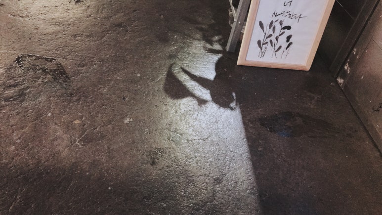 백설사 이미지