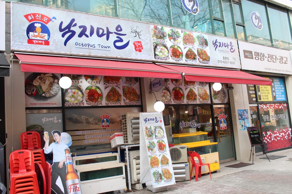 회진포낙지마을 이미지