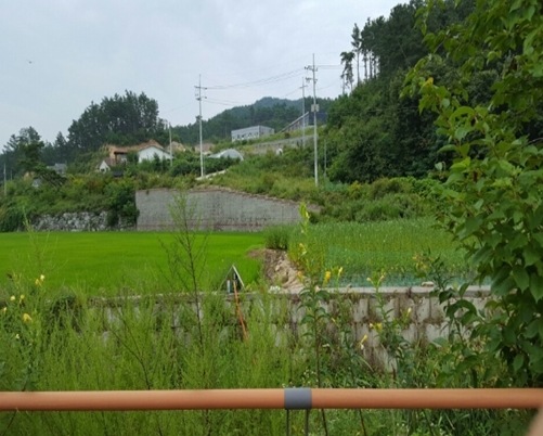 (주)휴먼센추리 이미지