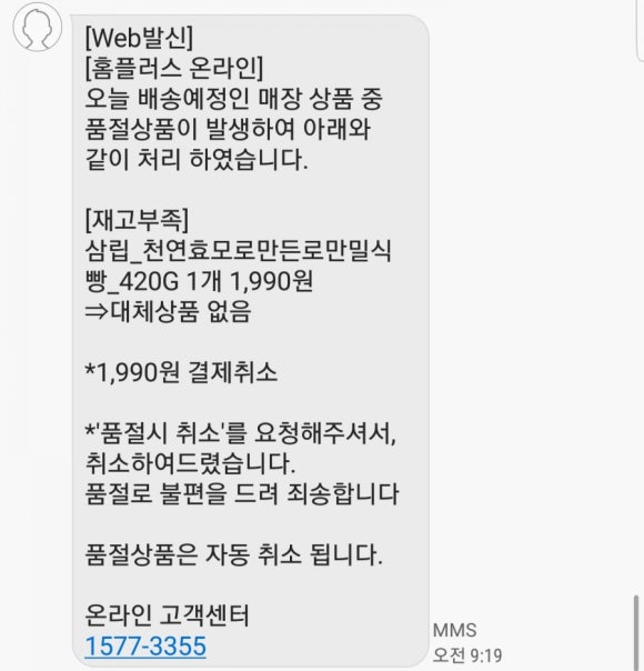 코코지아 이미지