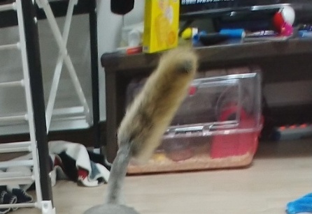 다온트레이드 이미지