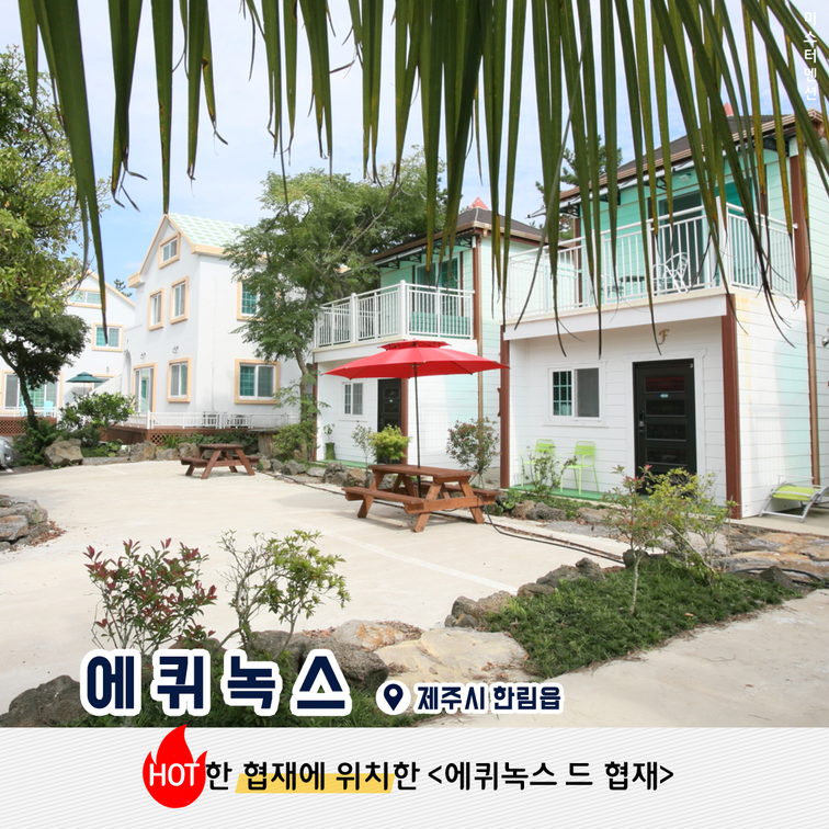 에퀴녹스드협재 이미지