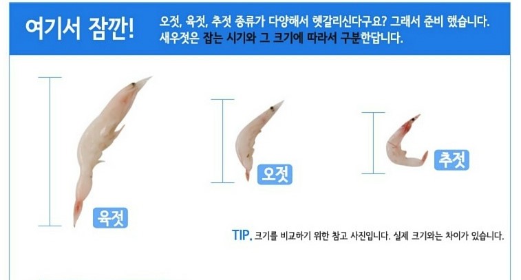 성안호 이미지