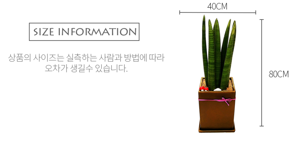 남양꽃집힐링플라워 이미지