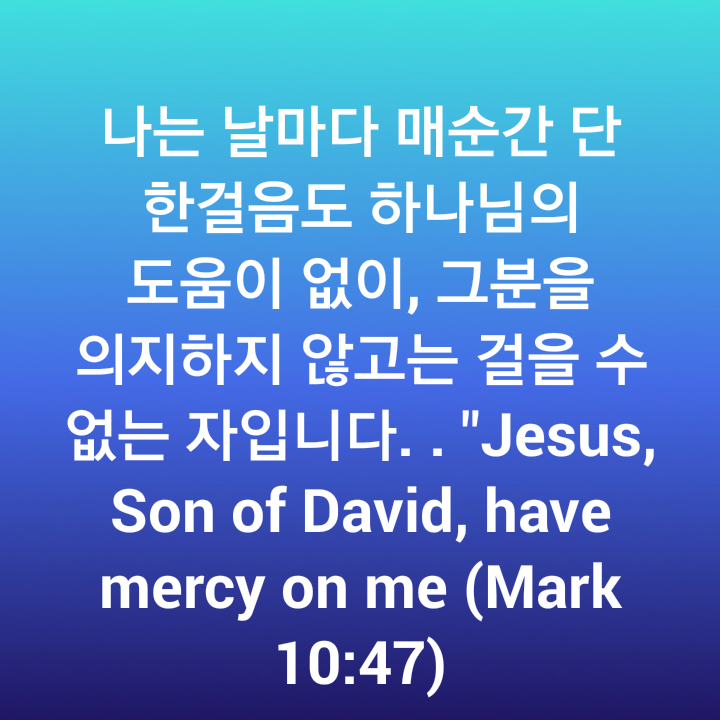 효소와발이야기 이미지