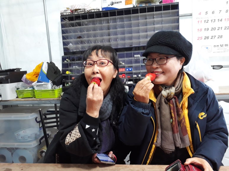 아리랑농원 이미지