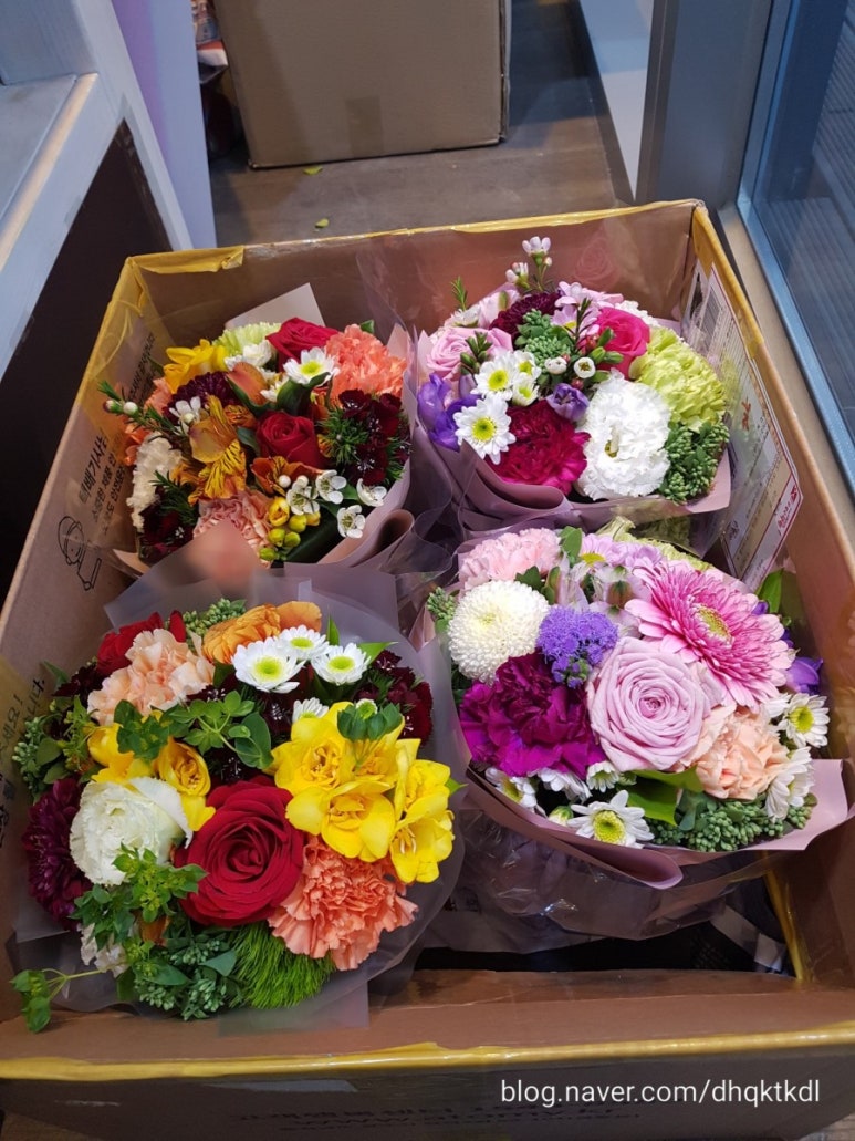 쭈니플라워 이미지