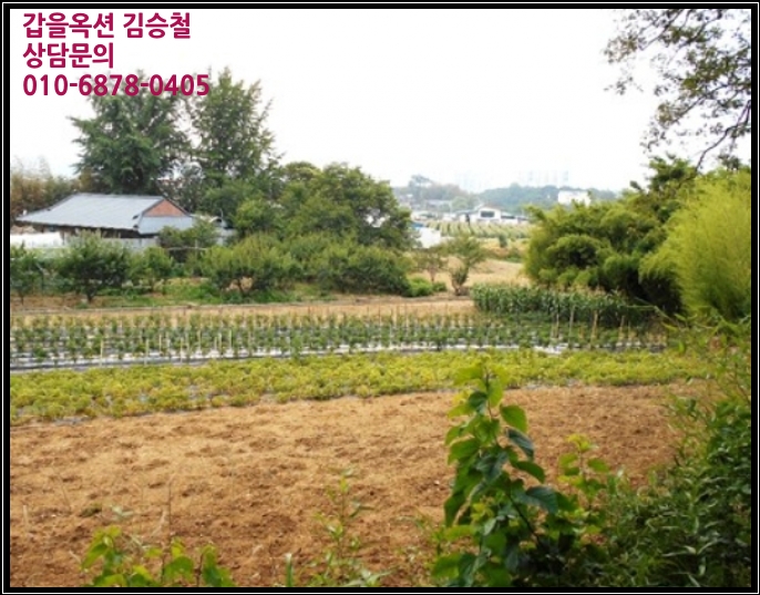 대구동_강릉 이미지