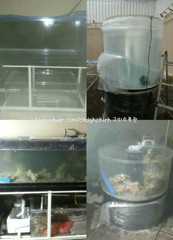 평창식품 이미지