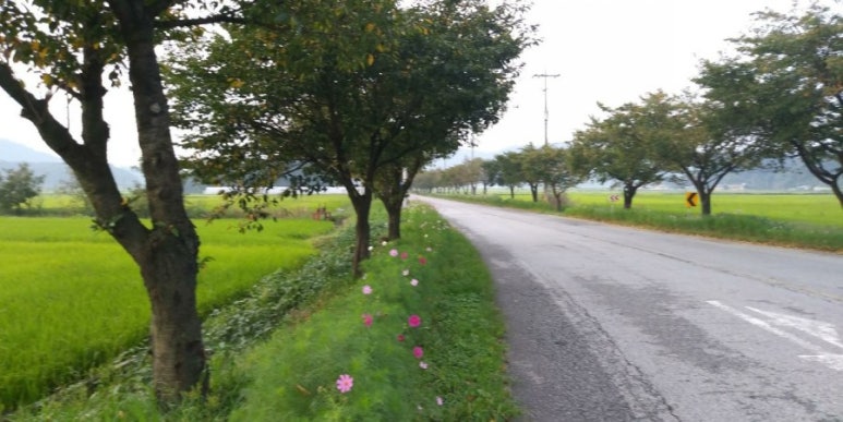 함창농협주유소 이미지