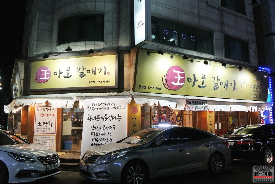 왕마포갈매기 이미지