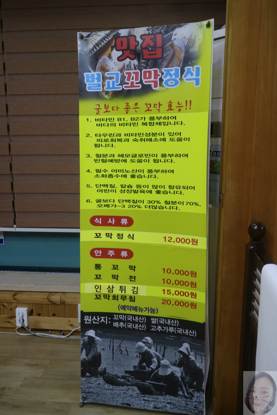 순흥애꽃 이미지