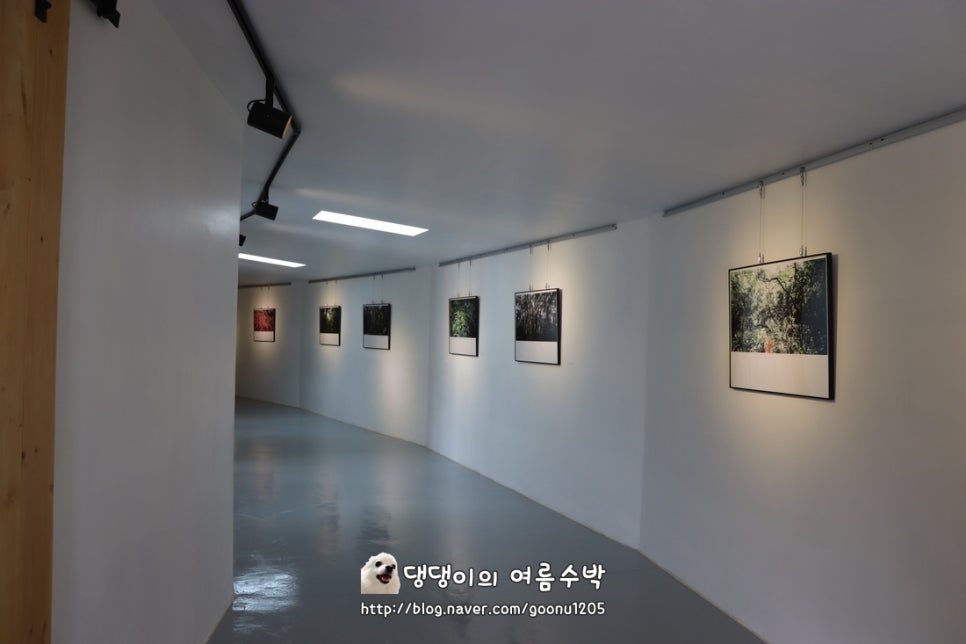 두스몽 이미지