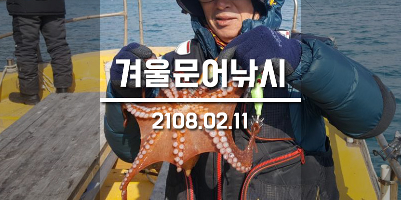거제진선장 이미지