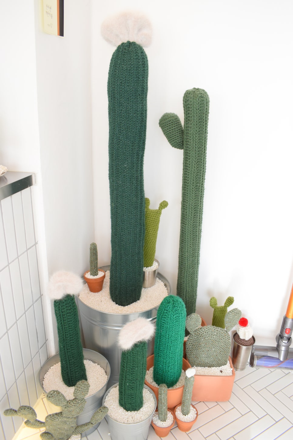 더블디 이미지