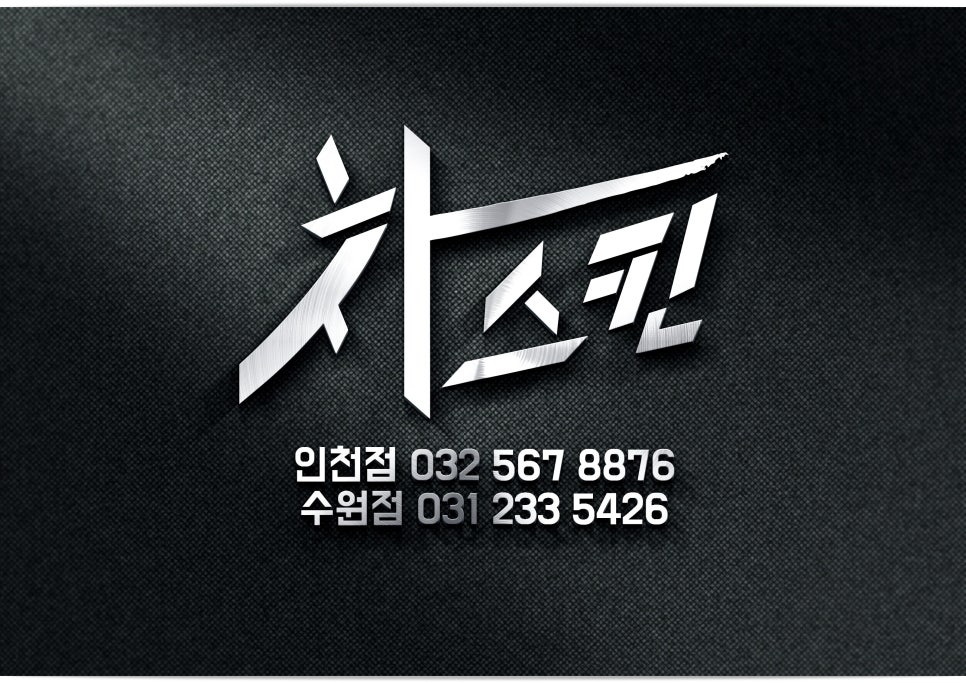 차스킨 이미지