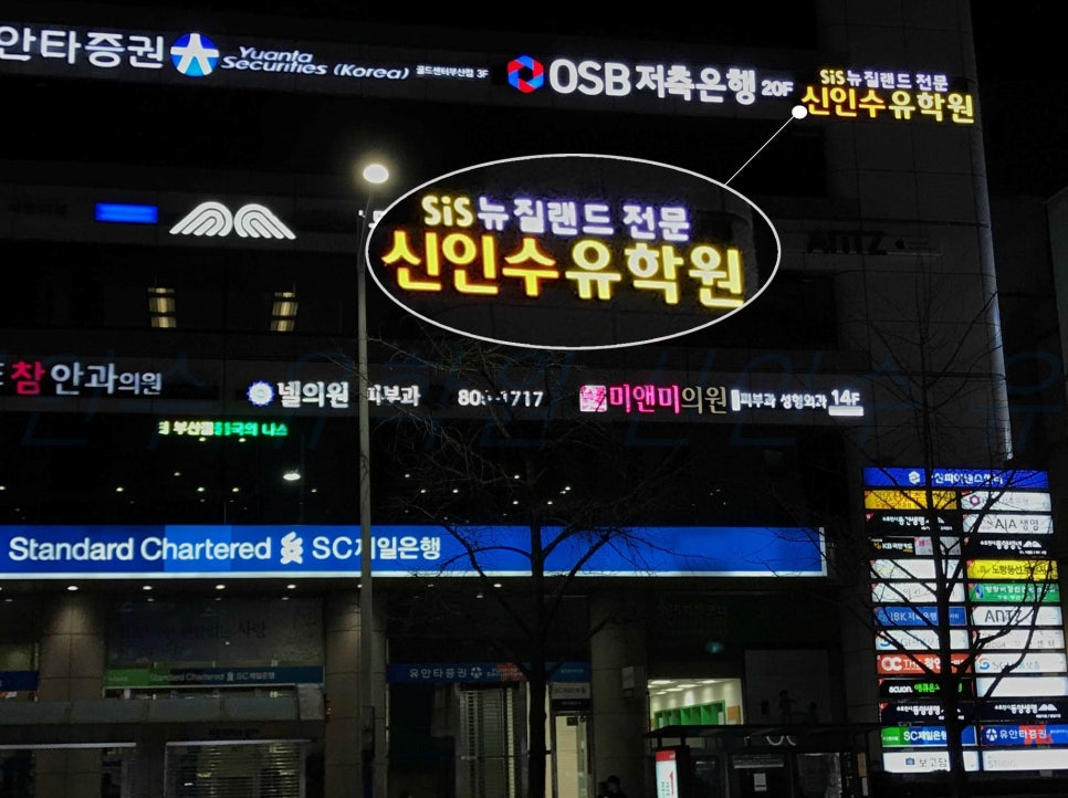 신인수유학원부산 이미지