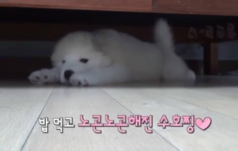 사거리 식당 이미지