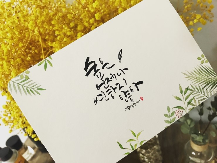 캘리송 이미지