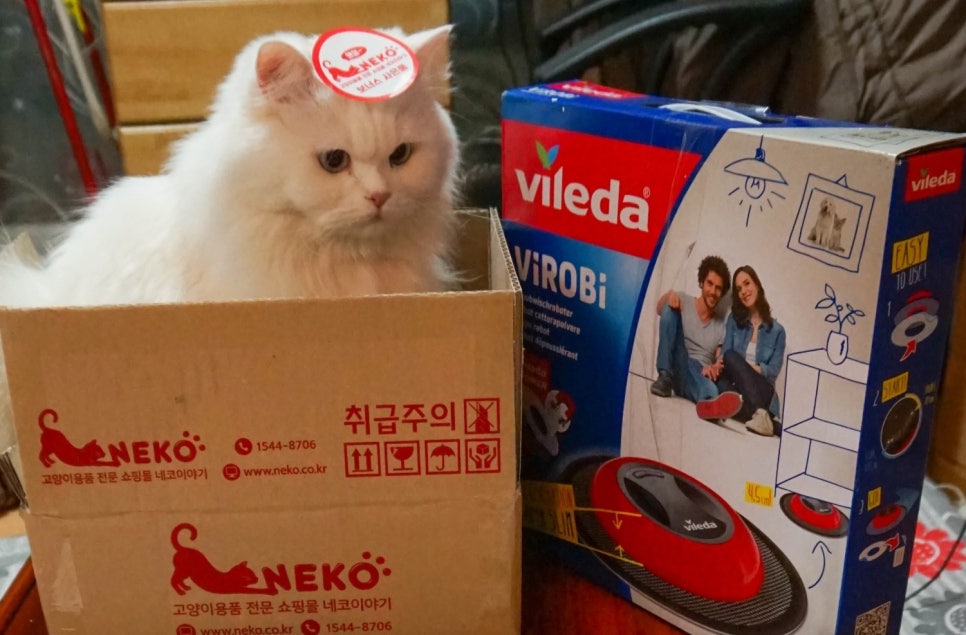 네코청소 이미지