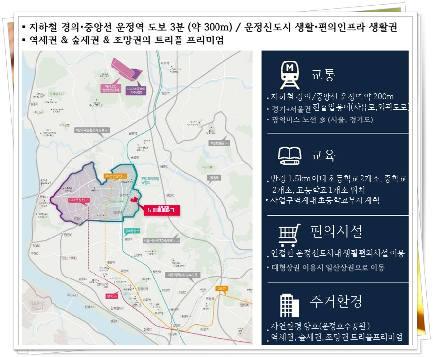 뉴파크 이미지