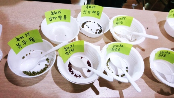주식회사 국제교류연합 이미지