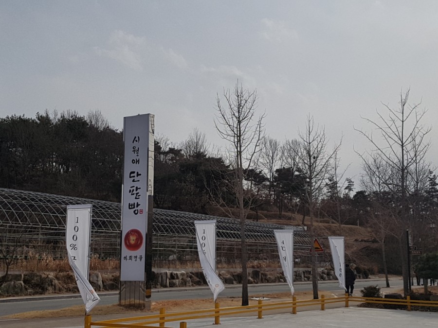 시월애단팥빵 이미지