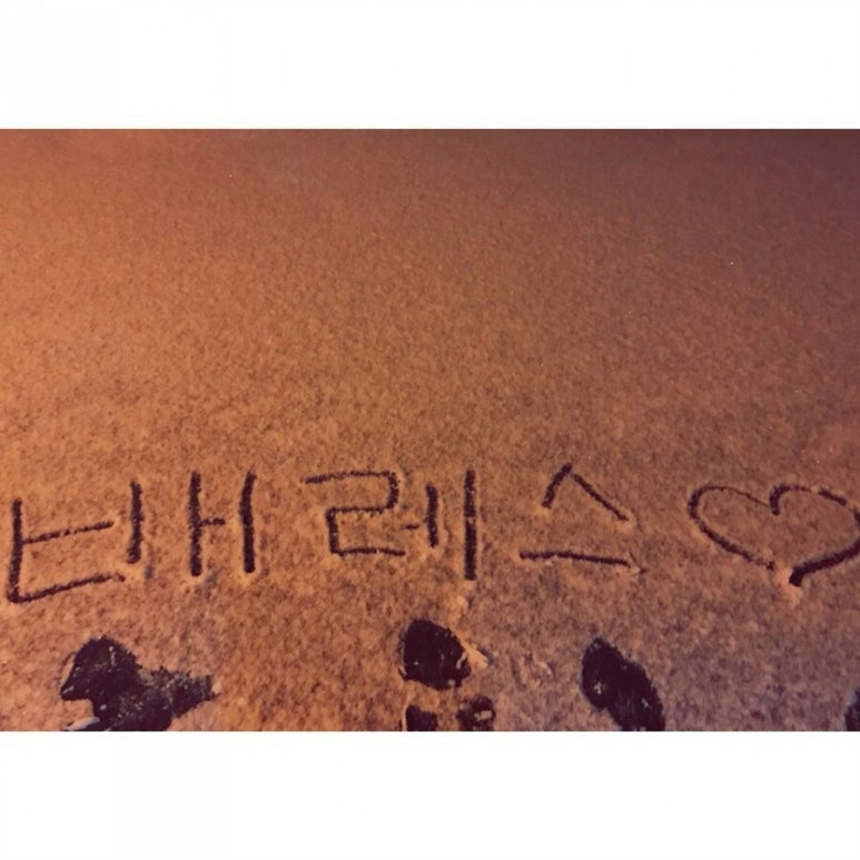 BAREASS2 이미지