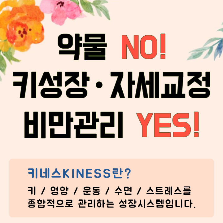 키네스 이미지