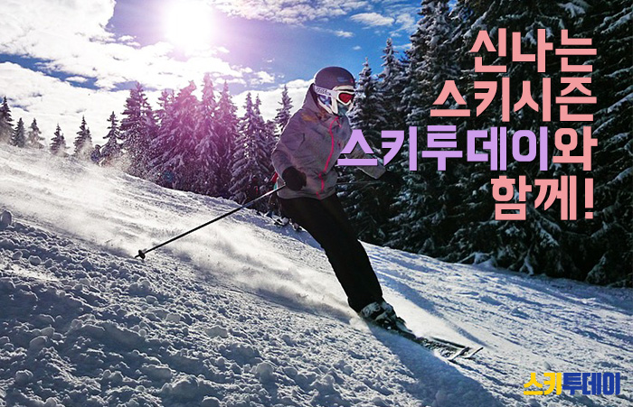 엘리시안강촌스키투데이렌탈샵 이미지