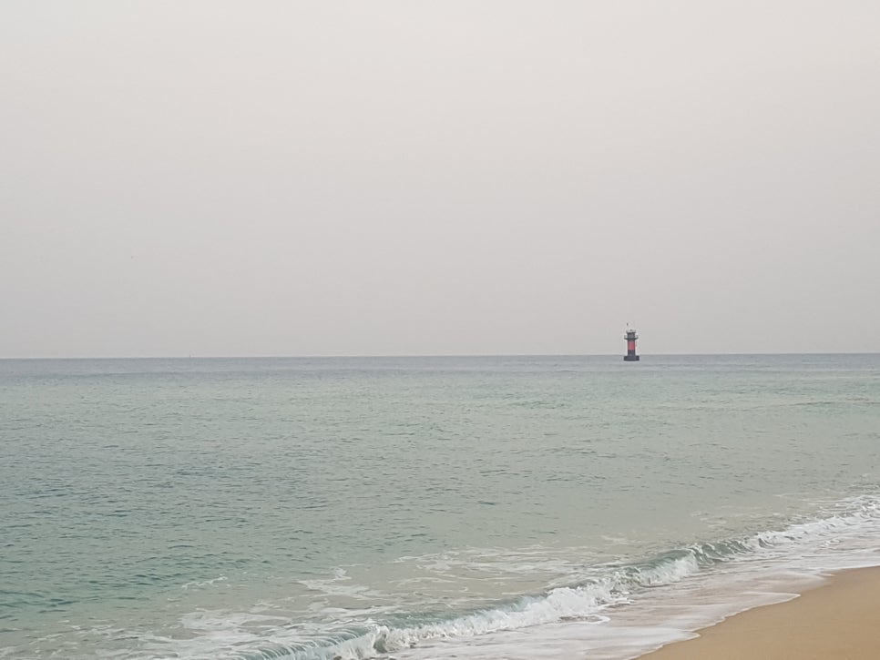 대명종합전자 이미지