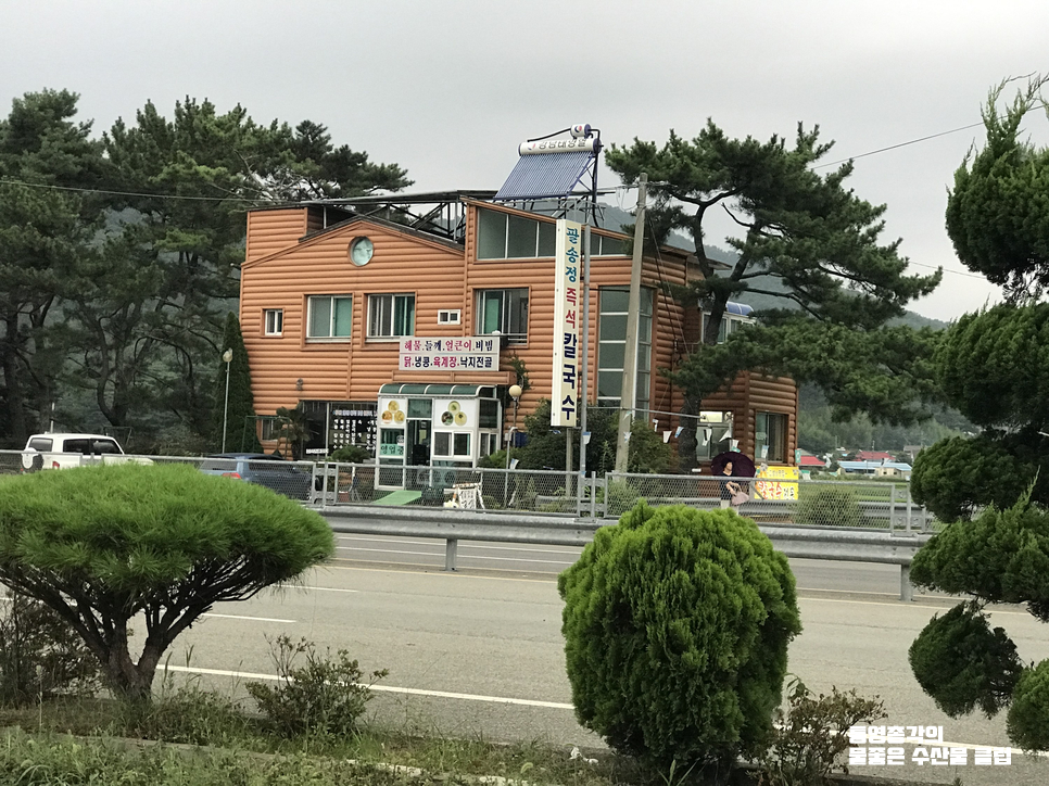 팔송정칼국수 이미지