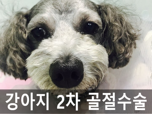 우신정형외과 이미지