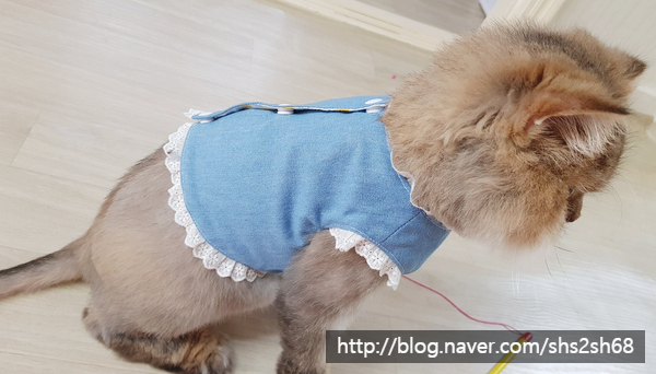 모띠앙 이미지