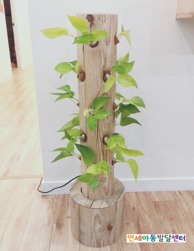 연세봄스킨 이미지