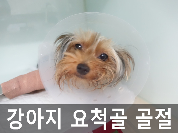 우신정형외과 이미지