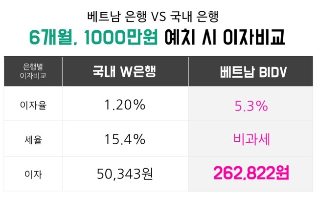 참빛투어 이미지