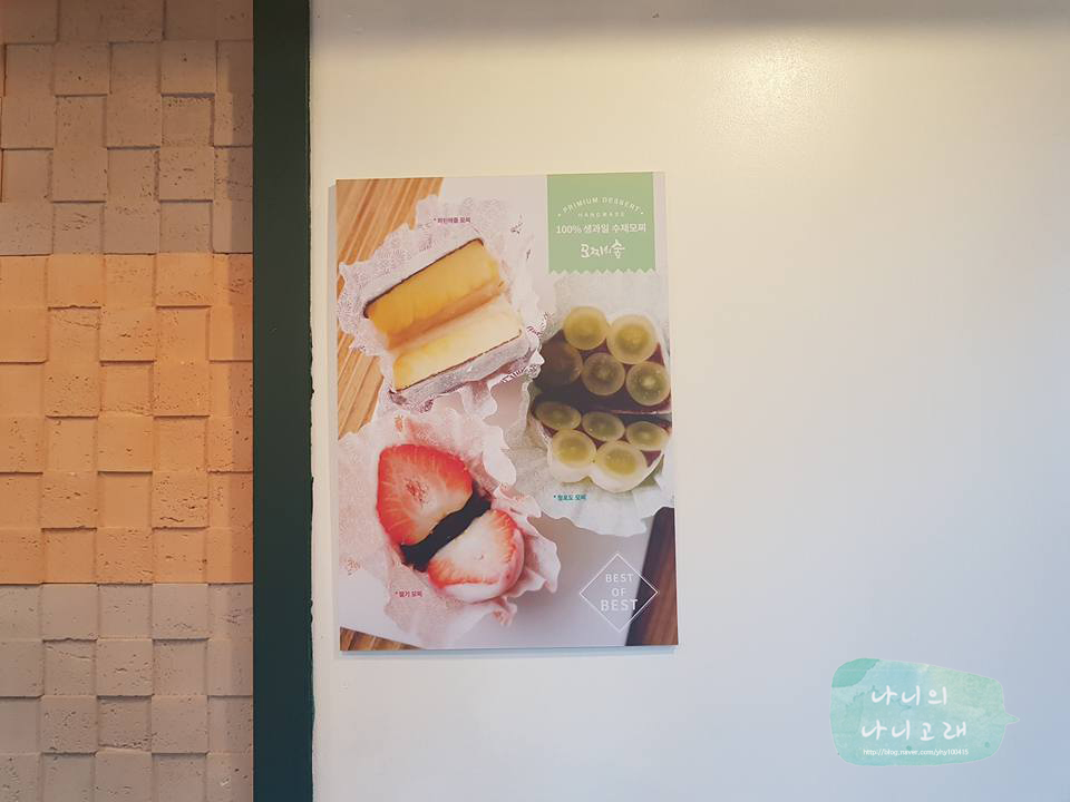 모찌의숲 이미지