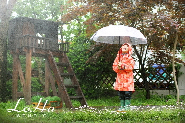 스튜디오배 이미지