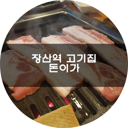 돈이가 이미지