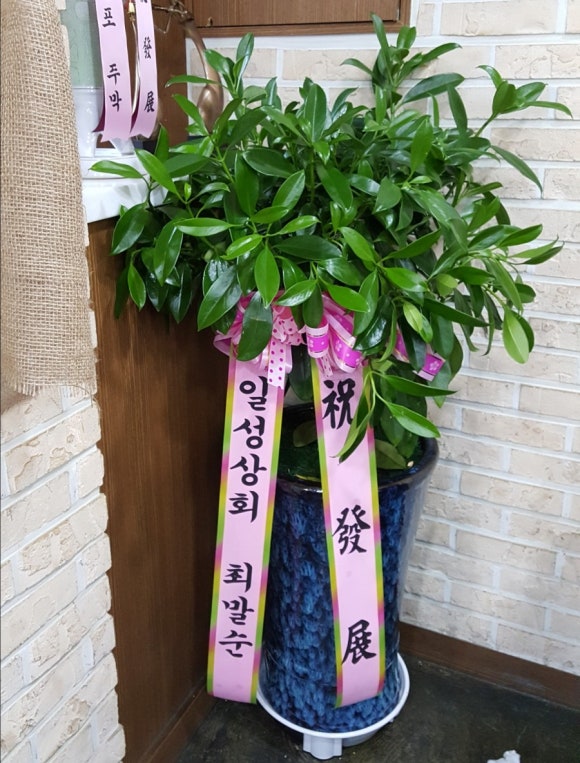 민보리밥 이미지