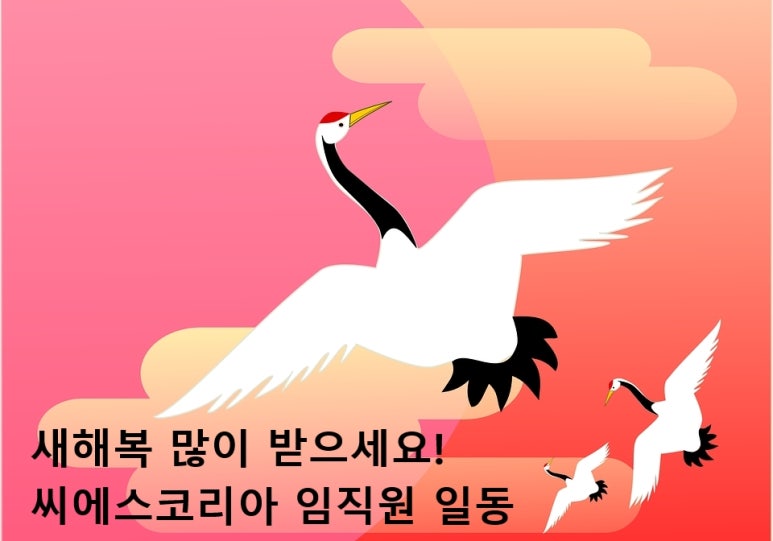 (주)씨에스코리아 이미지
